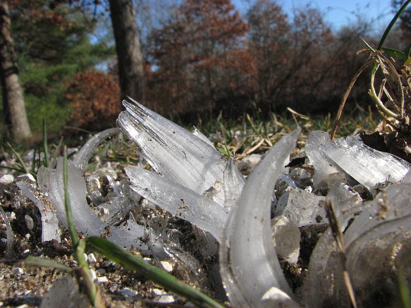 2008-12-13_Ice_Forest 013.jpg